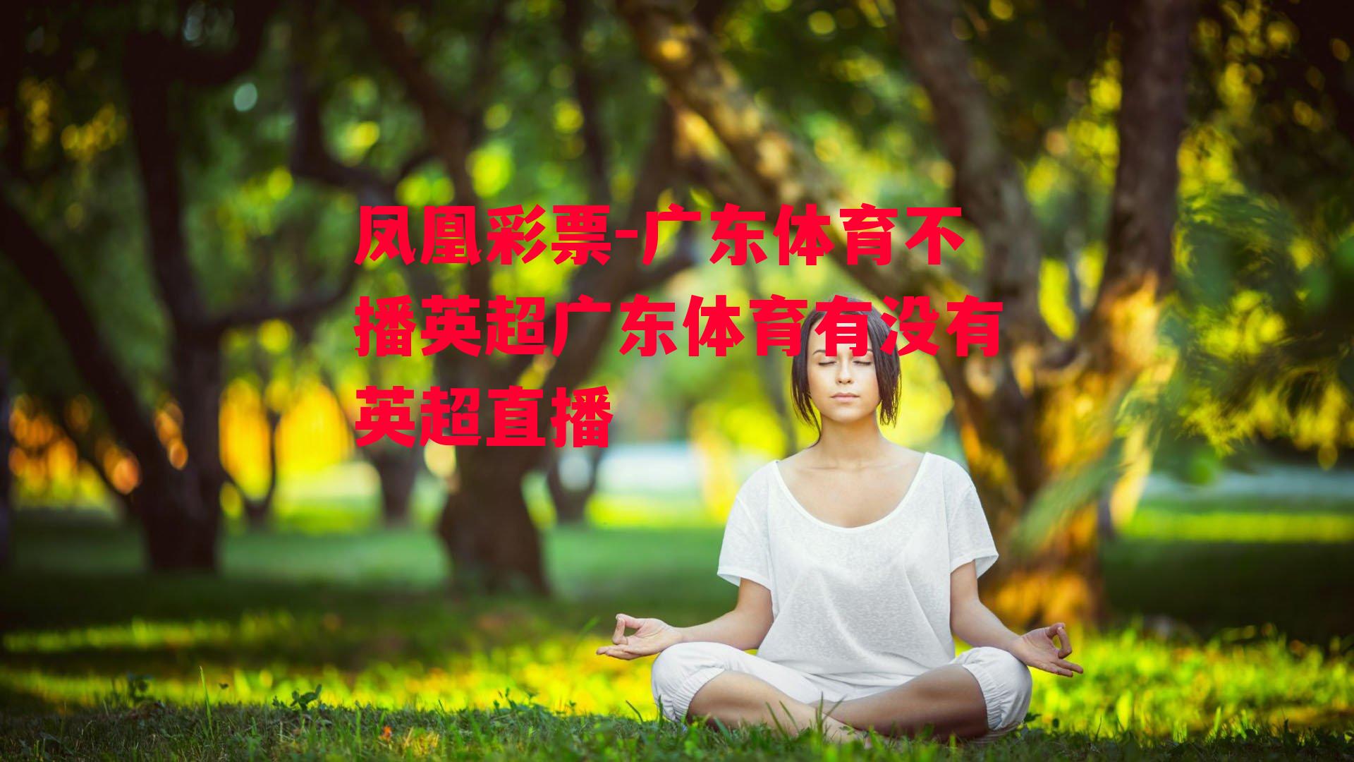 广东体育不播英超广东体育有没有英超直播